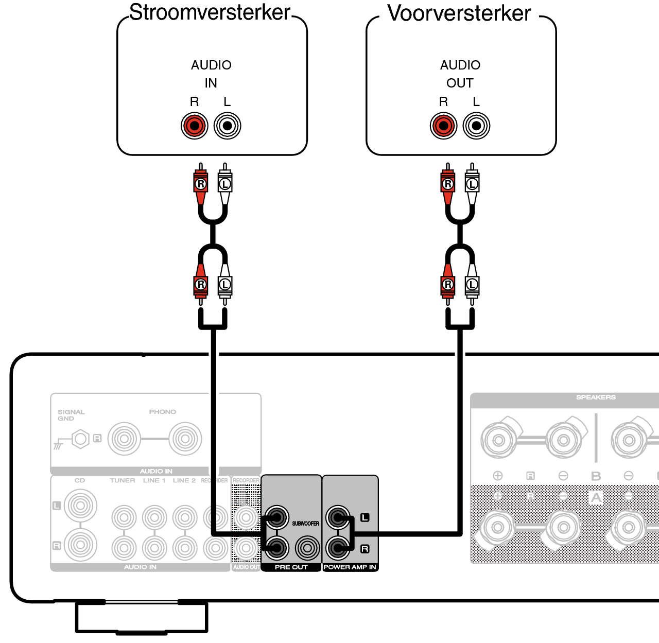 Conne amplifier MODEL50